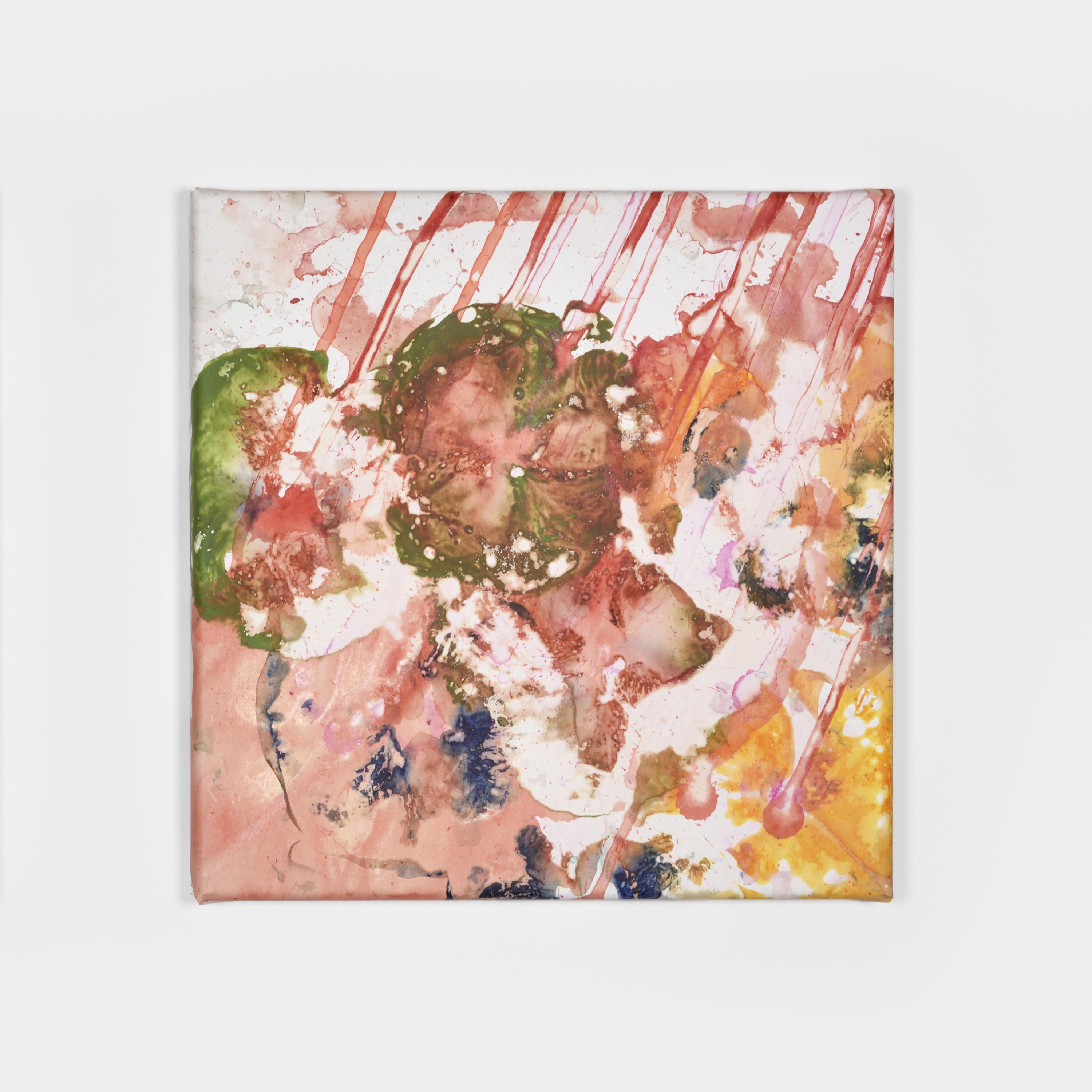 Pauline Bazignan (photo Rebecca Fanuele) Pauline Bazignan (photo Rebecca Fanuele)