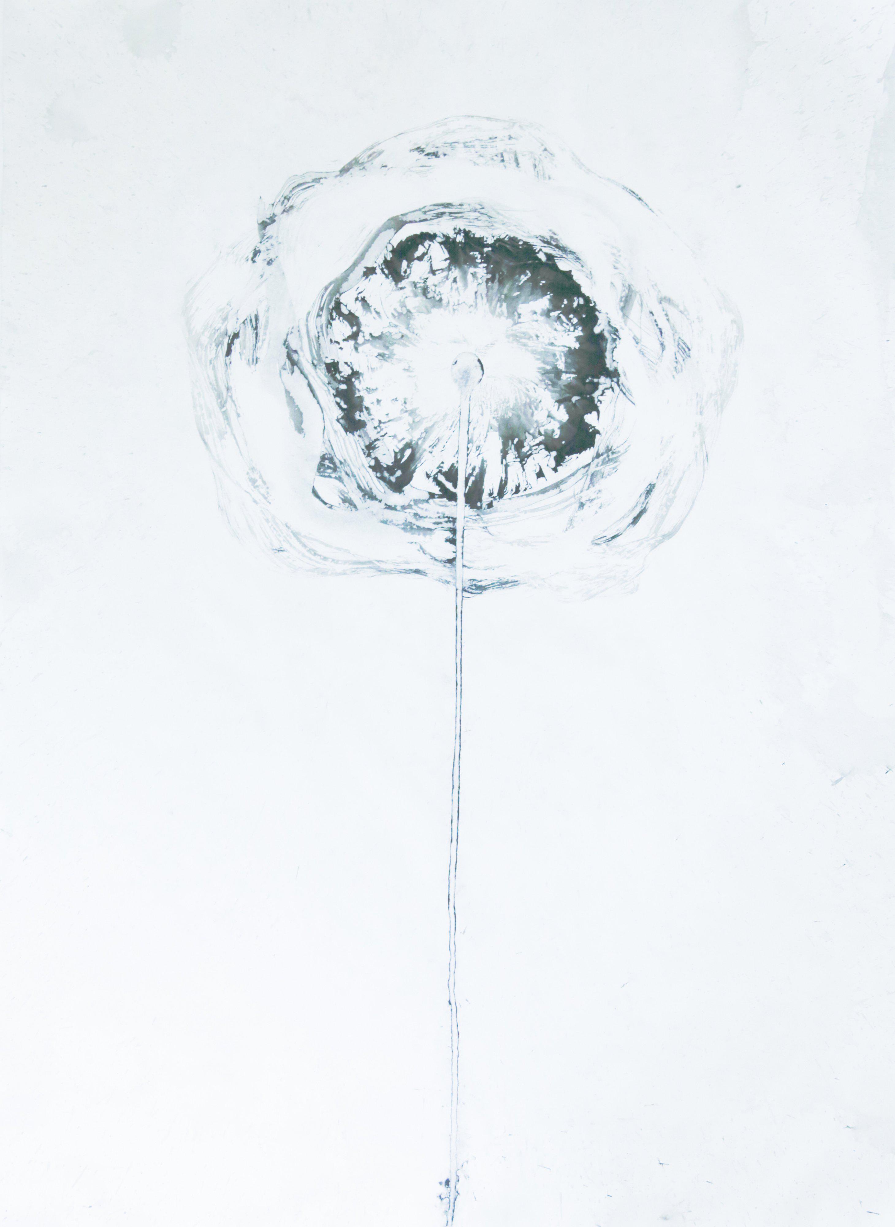 Pauline Bazignan Pauline Bazignan